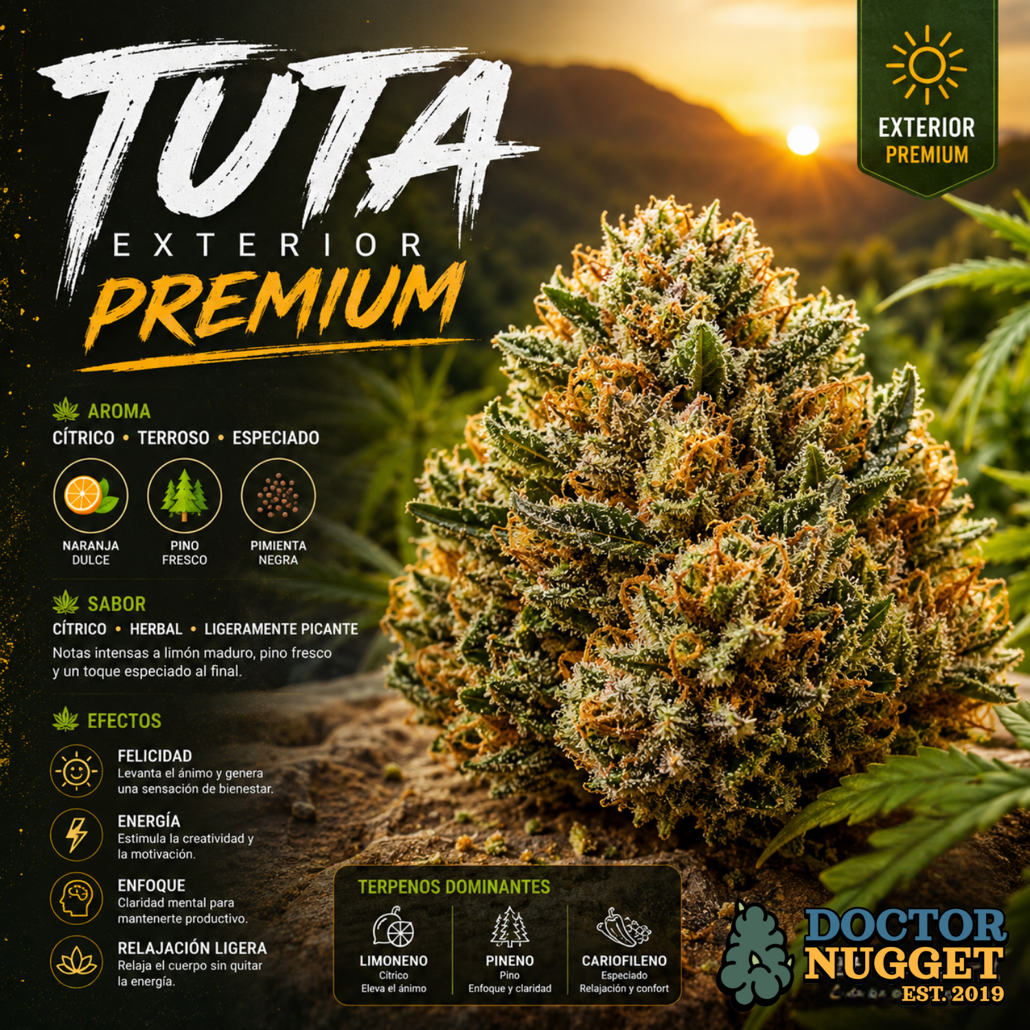 Tuta Exterior Premium