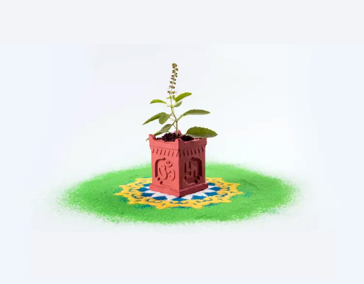 Tulsi Archana Puja in Vrindavan