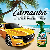 Turtle Wax T-136R Express Shine Spray Car Wax - 16 oz 16 Fl Oz (Pack of 1)