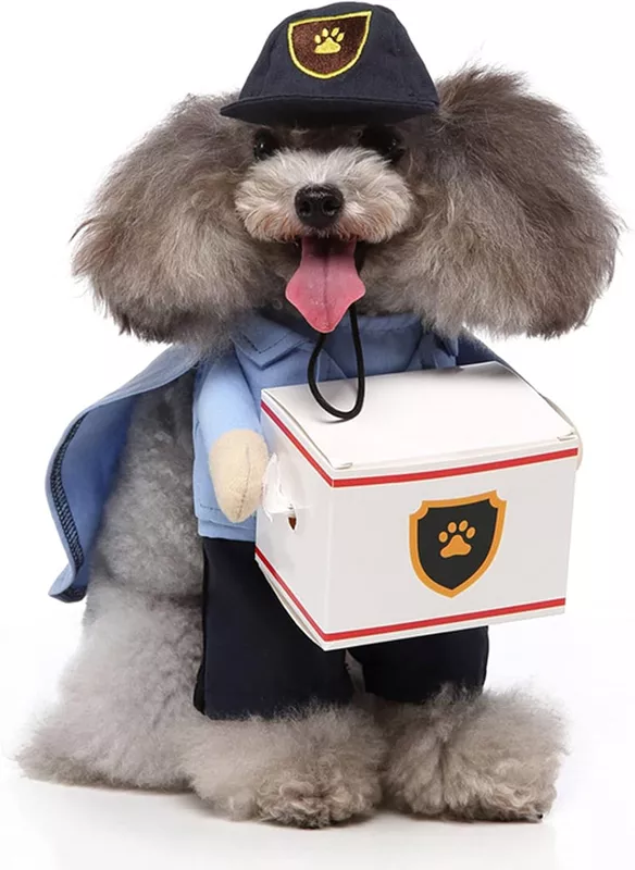 Funny Dog Dress Up - Us Mail Carrier Pup Dog
