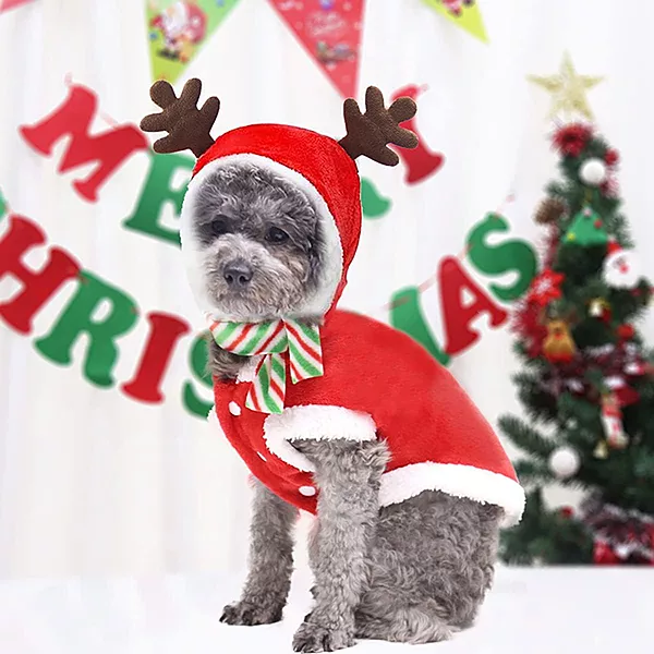 Christmas Reindeer Dog Costume – Warm Holiday Pet Outfit with Hood