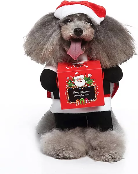 Christmas Santa Dog Costume with Gift Box – Holiday Pet Outfit