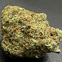 Unicorn Poop Indoor Clásica