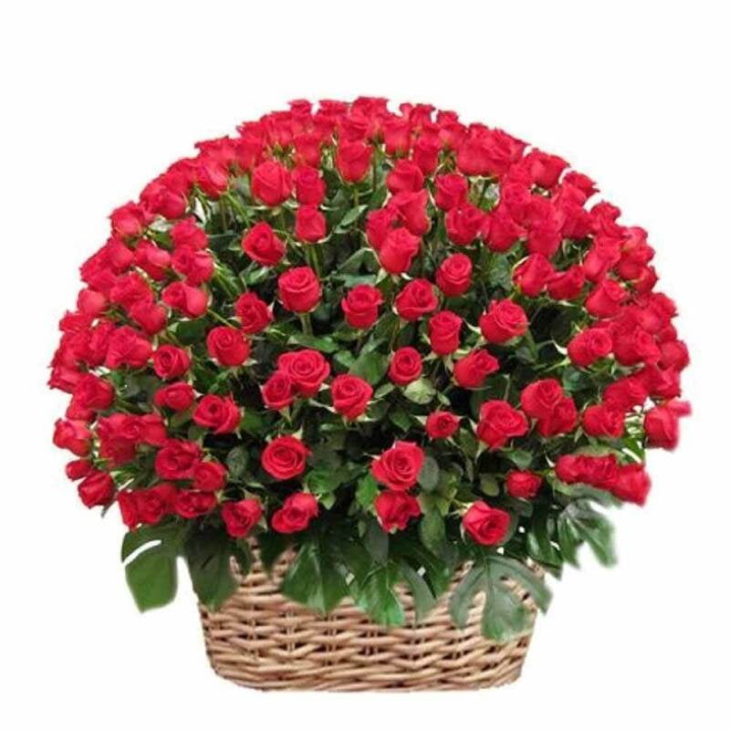 Basket of 100 Red Roses Basket of 100 Red Roses