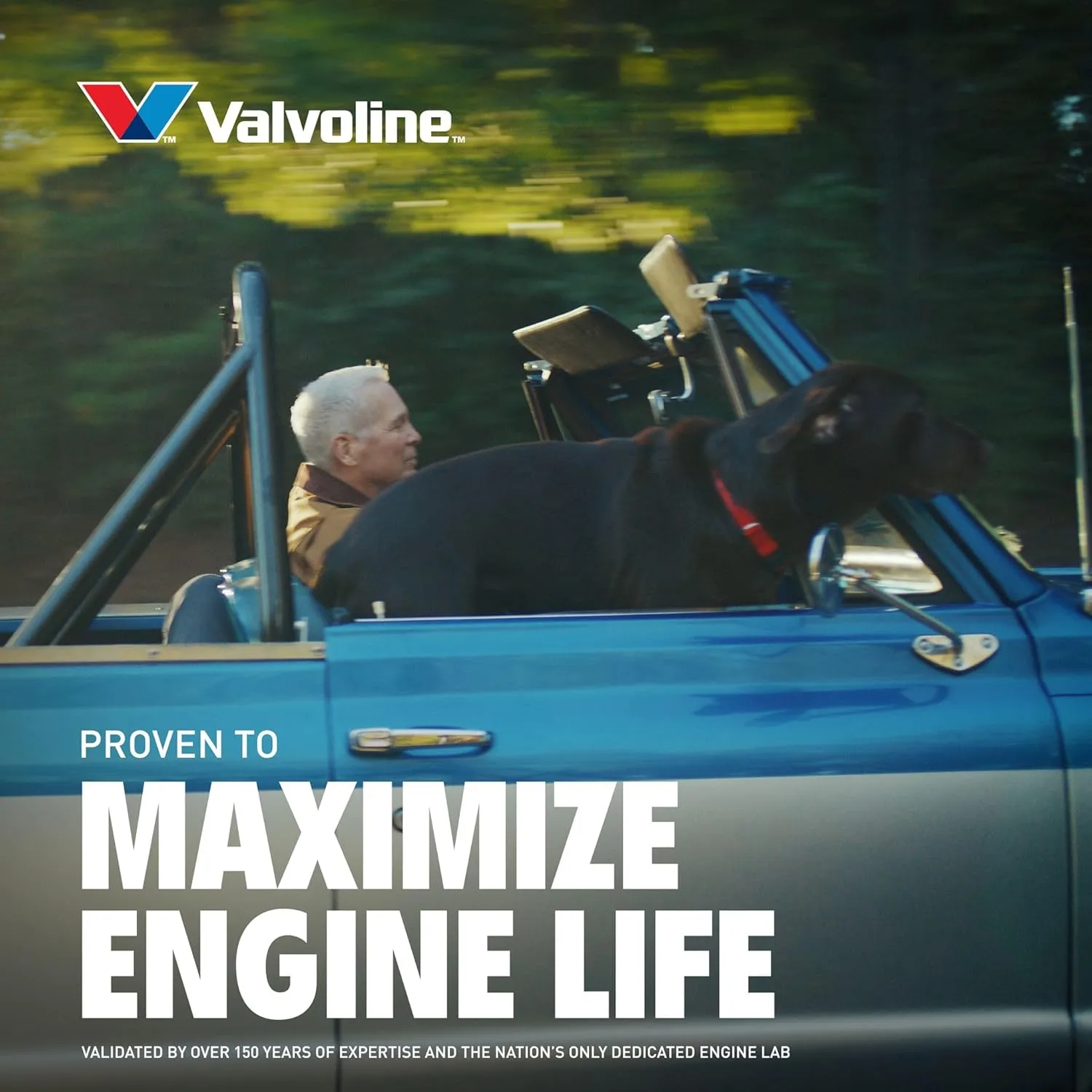 Valvoline MaxLife High Mileage Motor Oil