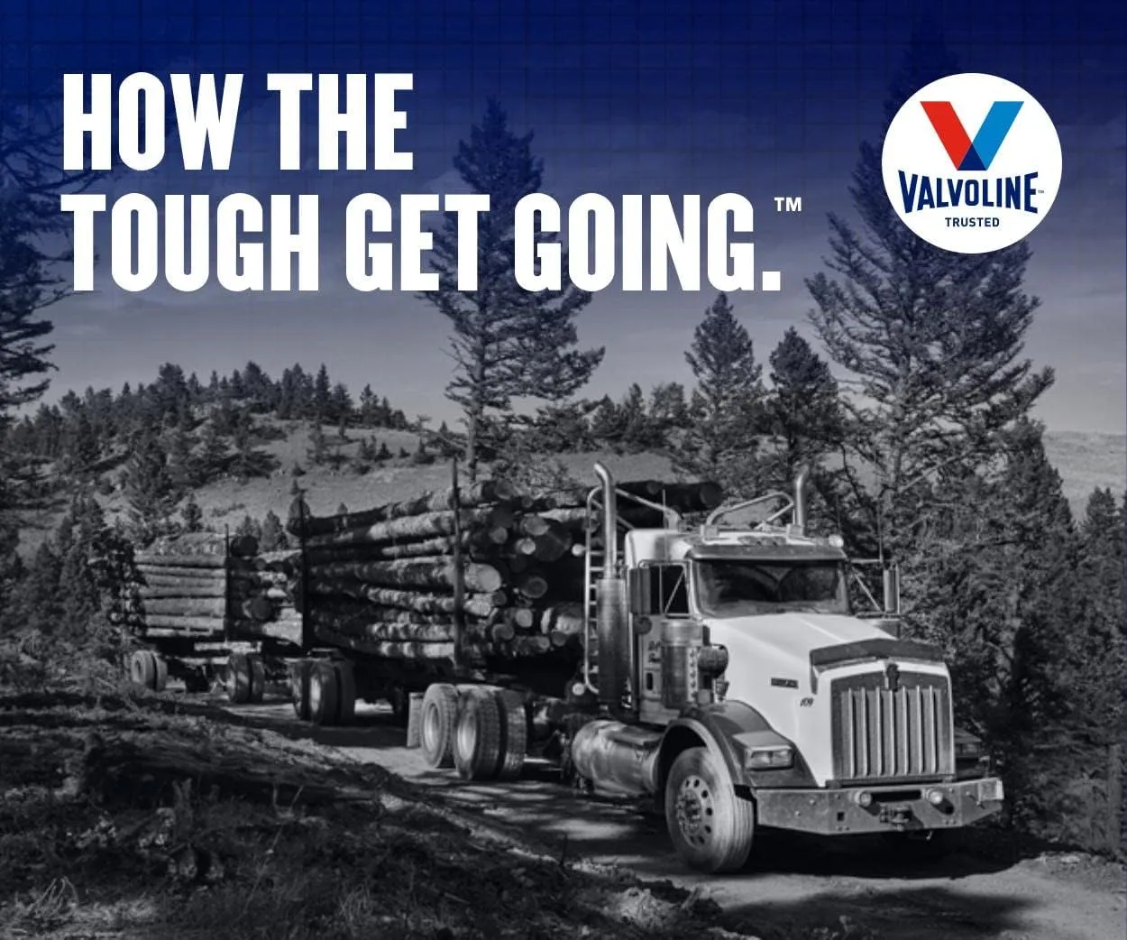 VALVOLINE Premium Blue Heavy-Duty Engine Oil