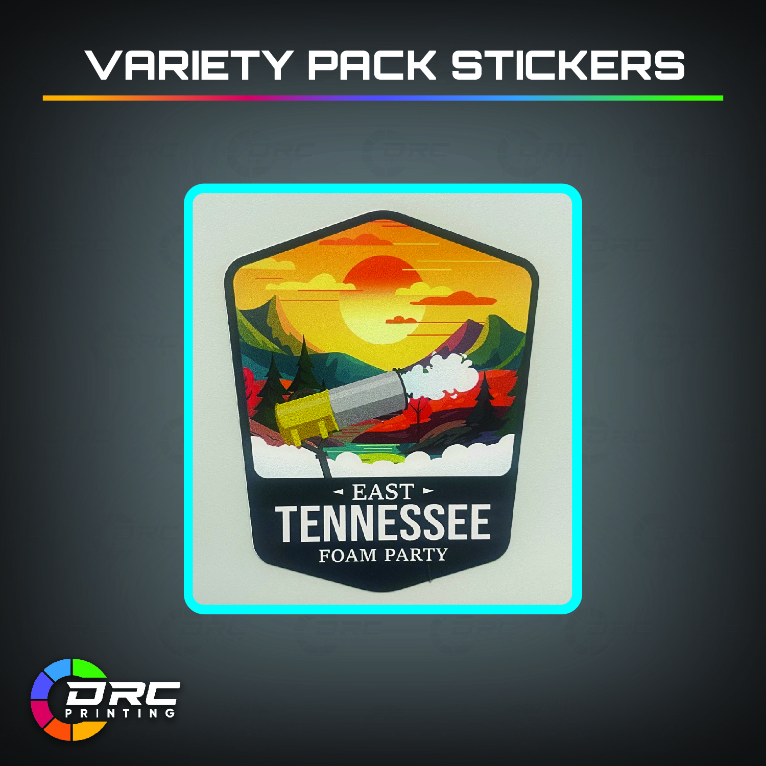 Variety Pack of Stickers Variety Pack of Stickers