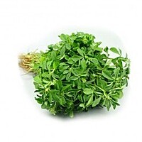 VENTHAYA KEERAI ( FEUNGREEK )