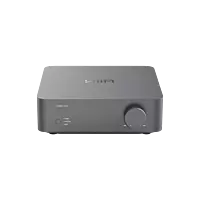 WiiM VibeLink Amp