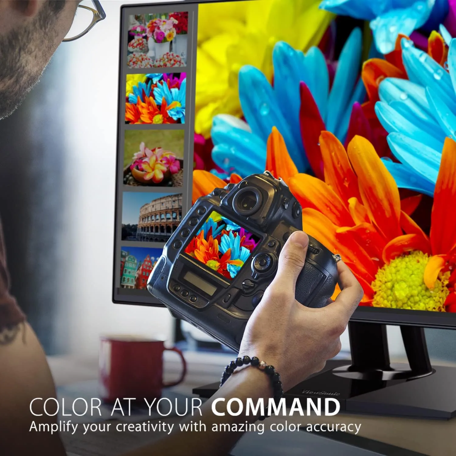 VIEWSONIC ColorPro VP Professional IPS Monitors