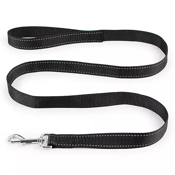 Heavy-Duty Nylon Dog Leash – Durable Training & Walking Lead