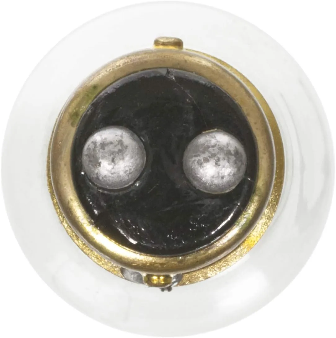 Wagner Lighting BP1157 Standard Multi-Purpose Light Bulb Card of 2 (Pack of 1)