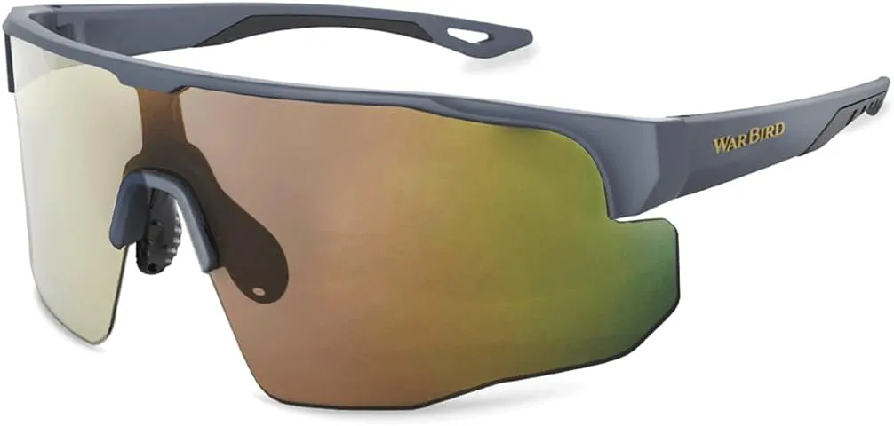 WARBIRD Deep State Polarized Safety Sunglasses
