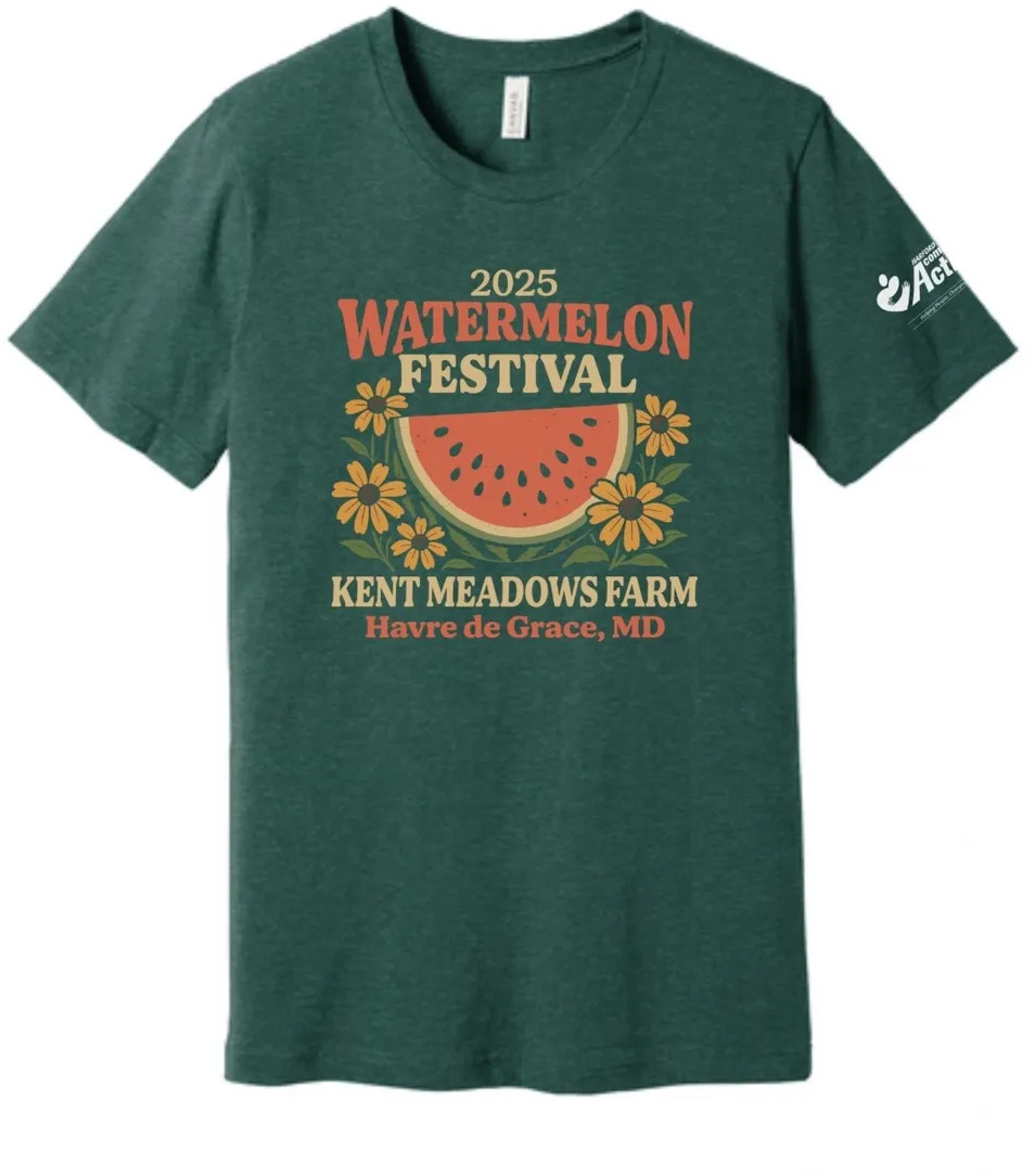 CLEARANCE - 2025 Watermelon Festival T-Shirt - X-LARGE