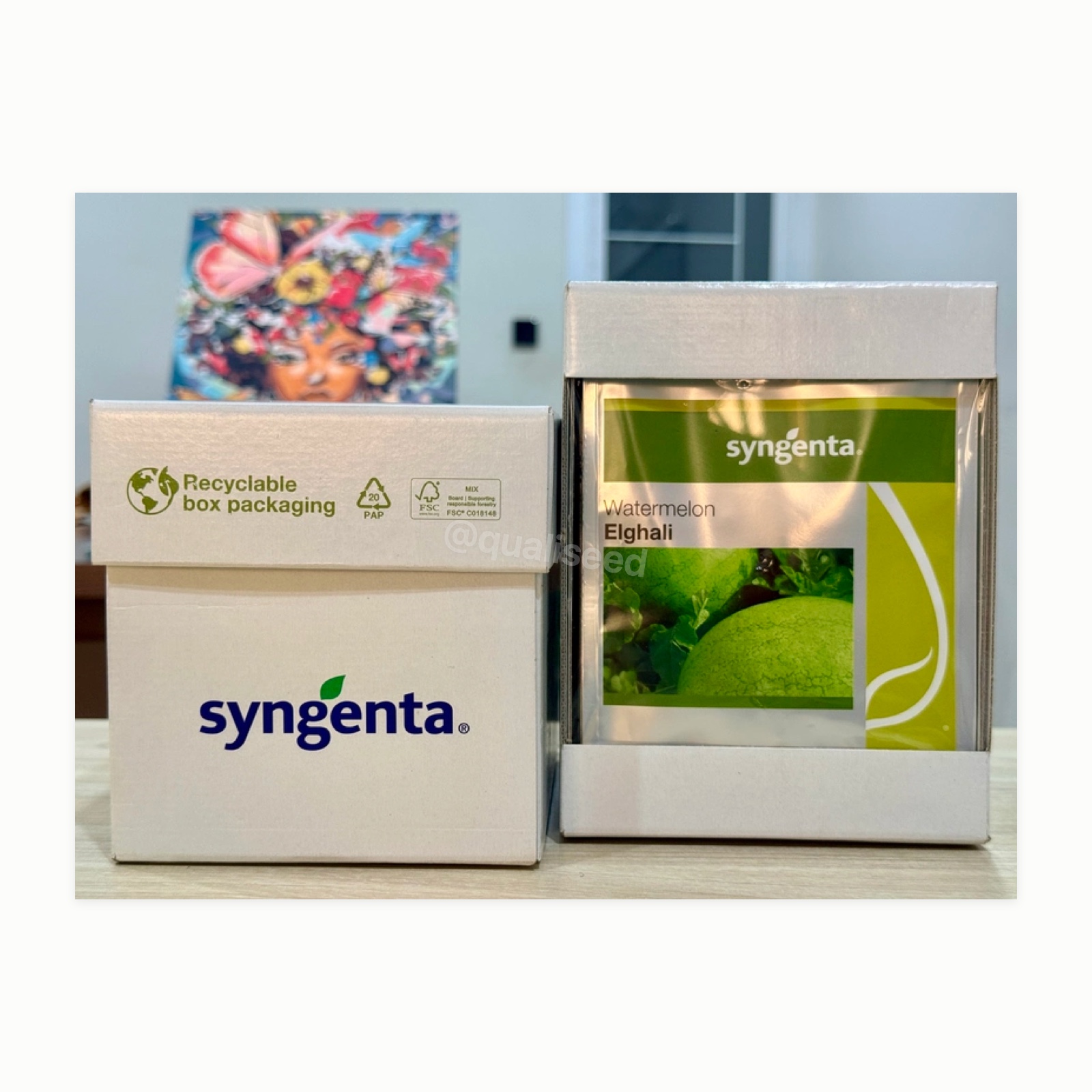 Watermelon Elghali F1