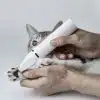 Petkit 2 in 1 Pet Trimmer Pro