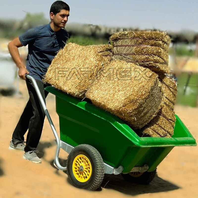 Wheelbarrow Farmex WB300 - Green