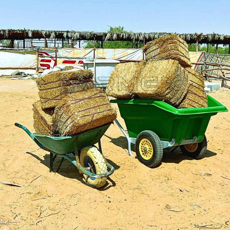 Wheelbarrow Farmex WB300 - Green