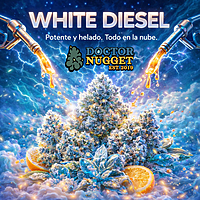Doctor Nugget White Diesel THC Flor