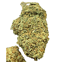 White Diesel Indoor Clásica