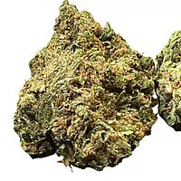 White Diesel Indoor Clásica