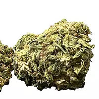 White Diesel Indoor Clásica