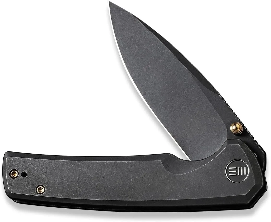 WE Knife Folding Pocket Knife CPM-20CV Black Stonewash Blade