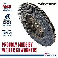 Weiler 31349 4-1/2" Wolverine Abrasive Flap Disc, Conical (TY29), Phenolic Backing, 36Z