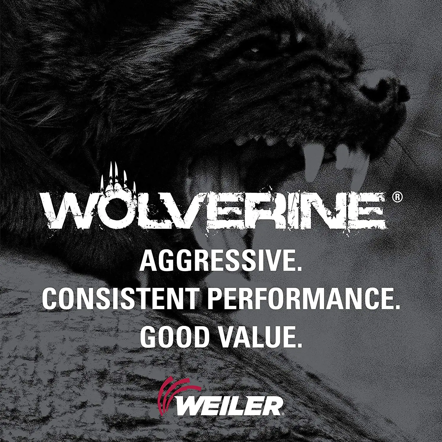 Weiler 59503 Wolverine Aluminum Oxide Resin Fiber Sanding & Grinding Disc, 5" Diameter, 36 Grit, 7/8" Arbor Hole (Pack of 25)
