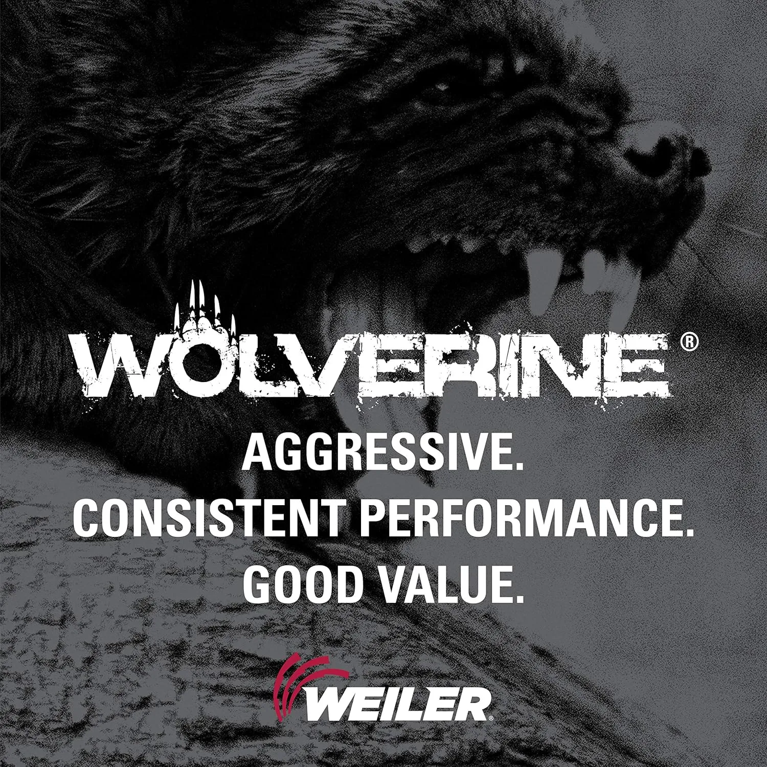 Weiler 59577 Tiger 7/8" Arbor, 4-1/2" Diameter, 80 Grit, Aluminum Oxide, Fiber Backing, Resin Fiber Disc