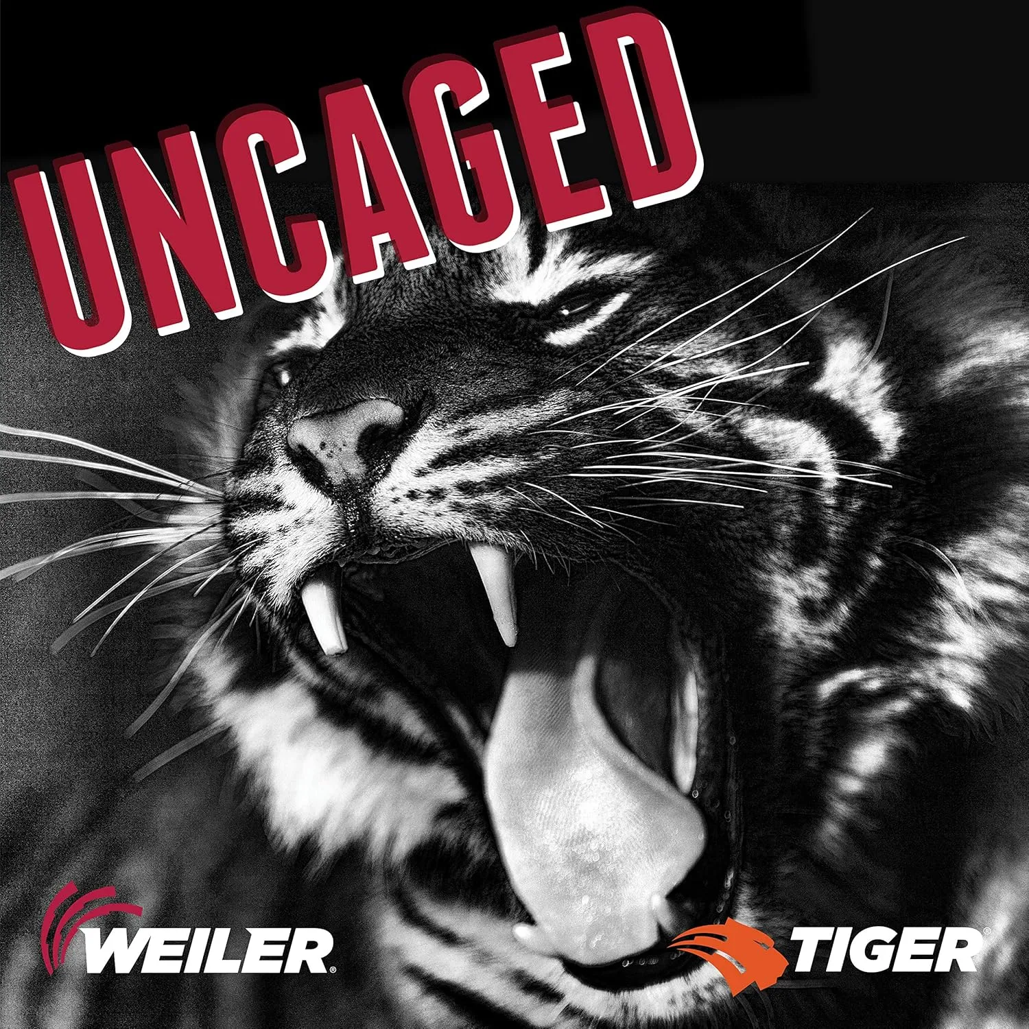 Weiler 57047 9 Inch Cutting Wheel, Tiger AO Steel/Metal Long Life Performance Cutting, 1/16" A60T Type 27 7/8" Arbor