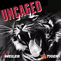 Weiler 57047 9 Inch Cutting Wheel, Tiger AO Steel/Metal Long Life Performance Cutting, 1/16" A60T Type 27 7/8" Arbor