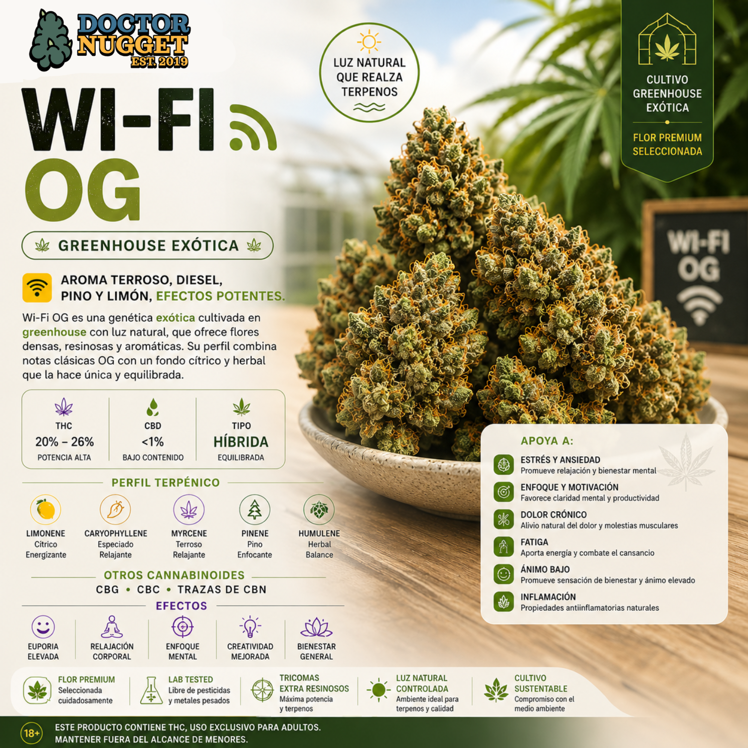 Dr. Nugget Wi Fi OG THC Flor
