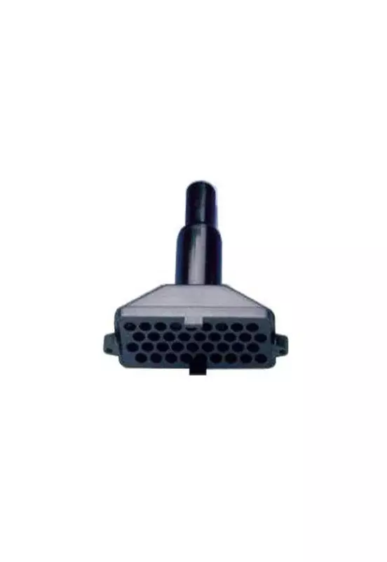 Whale Strumbox Top Entry