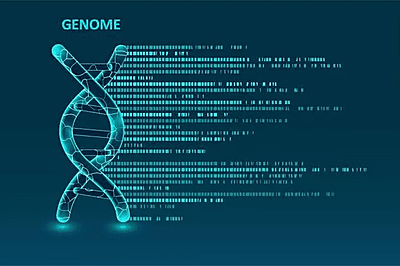 FISH for Sex chromosome mismatch XX/YY(Post BMT)