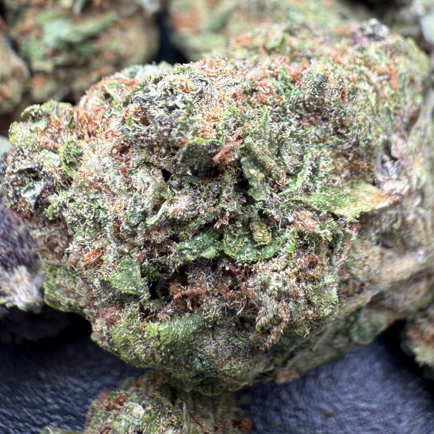 White Cookies Greenhouse Edición Mundialista
