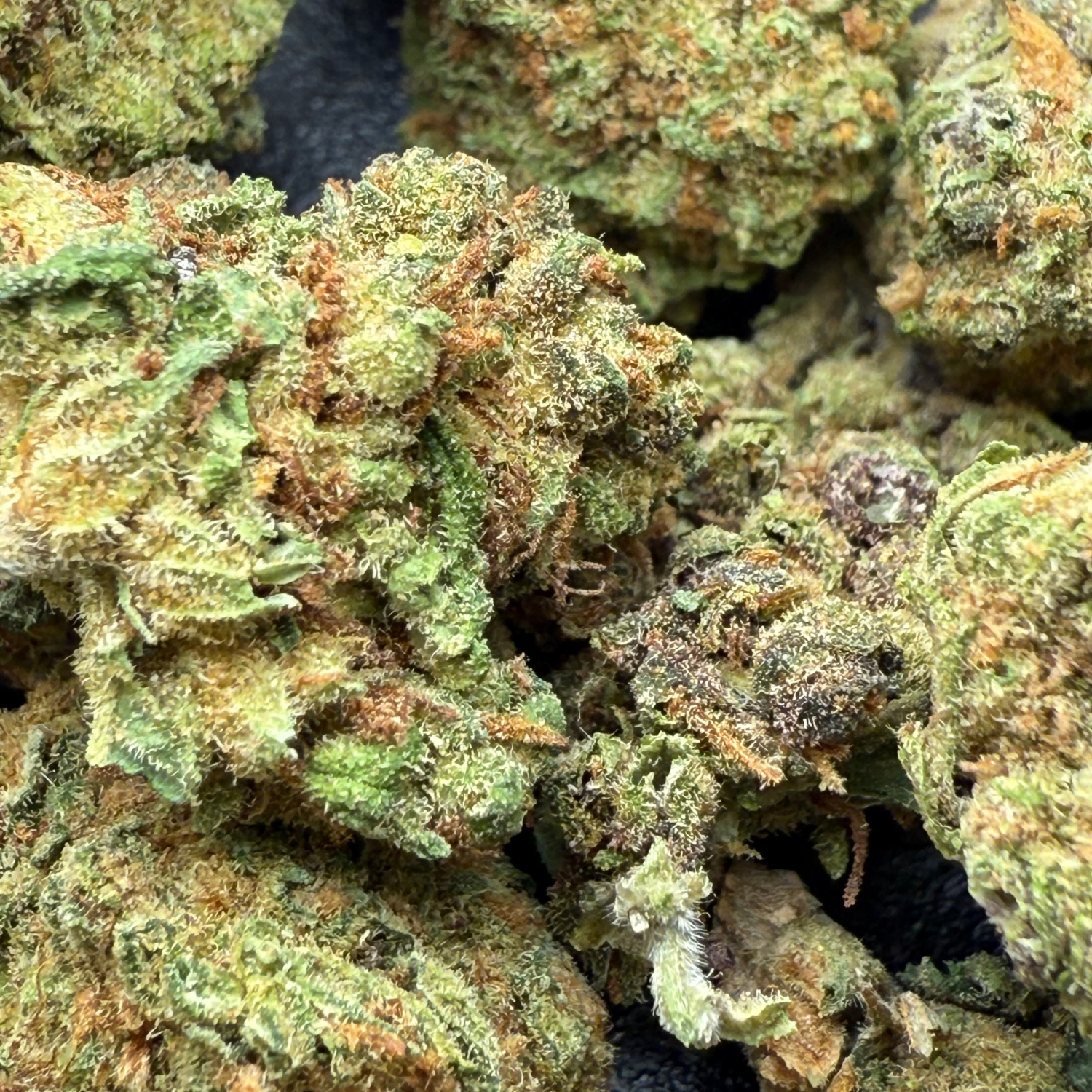 White Cookies Greenhouse Edición Mundialista