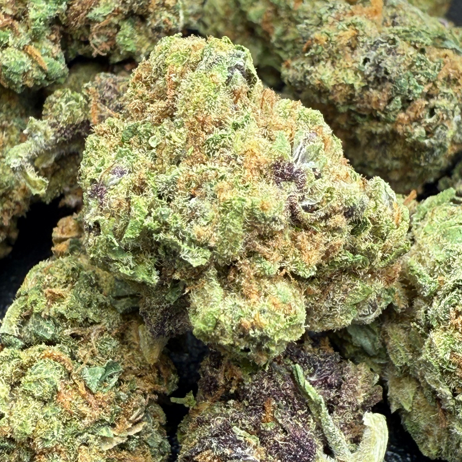 White Cookies Greenhouse Edición Mundialista