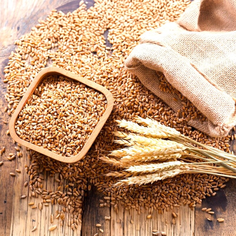 Durum Wheat Flour / Semolina