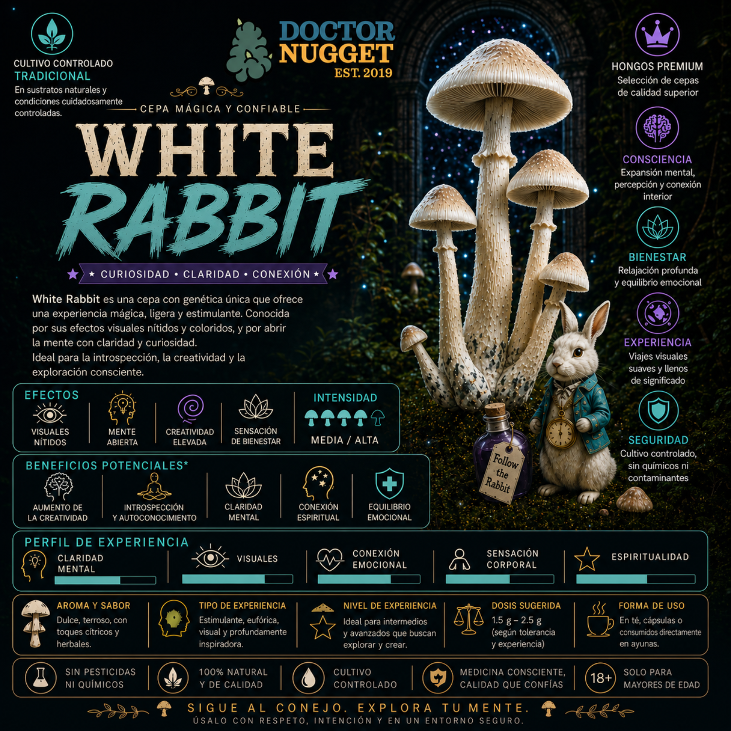 Dr. Nugget White Rabbit Hongos