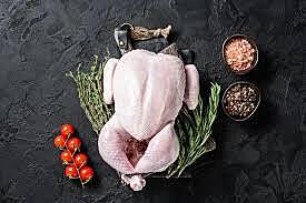 Whole Chicken  Xtra Large Regenerative