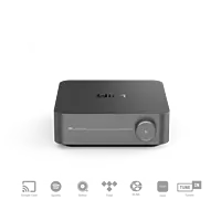 Wiim Amp Pro