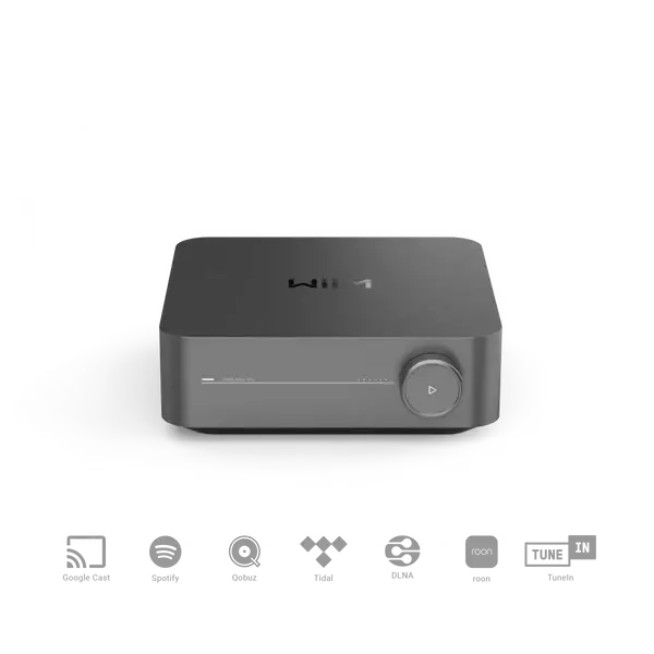 Wiim Amp Pro