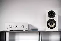 WiiM Pro Plus