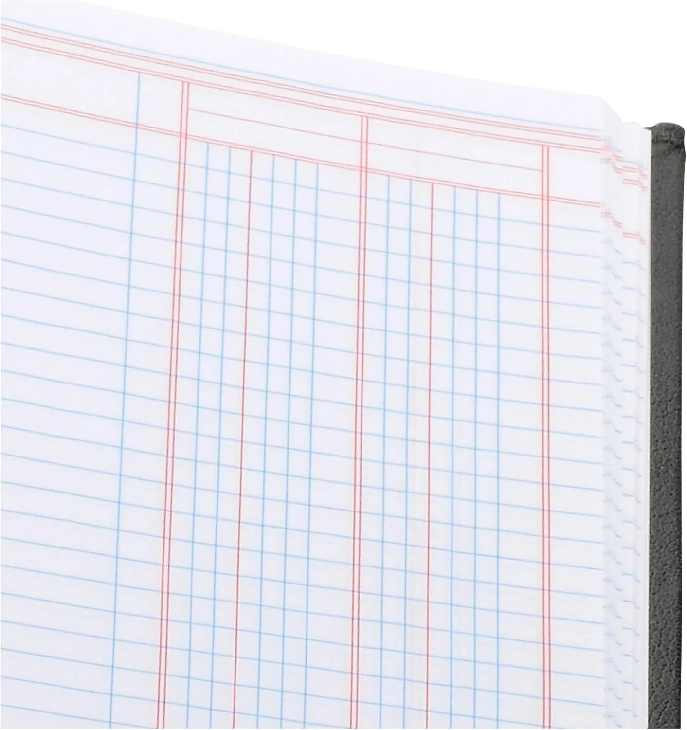 Wilson Jones Hardbound Accounting Journal, 9.25 x 7 Inches, 2 Columns, 80 Pages