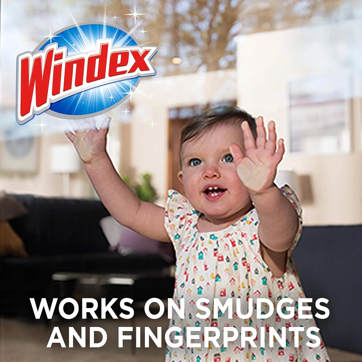 Windex Glass & Surface Wipes, Ammonia Free, Crystal Rain Scent, 38 Count