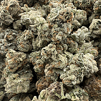 Wrank Indoor Hidropónica