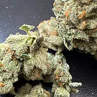 Wrank Indoor Hidropónica