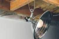 Woods Clamp Lamp Light with Aluminum Reflector; 150W; UL Listed; 6- Foot Cord 8.5 Inch