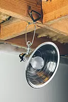 Woods Clamp Lamp Light with Aluminum Reflector; 150W; UL Listed; 6- Foot Cord 8.5 Inch